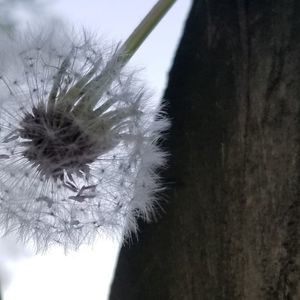 Meet your Posher, Kelli